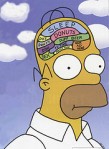 Homer Simpson's Brain from Anna